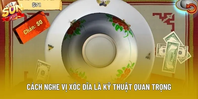 Cách nghe vị xóc đĩa là kỹ thuật quan trọng Cách nghe vị xóc đĩa là kỹ thuật quan trọng