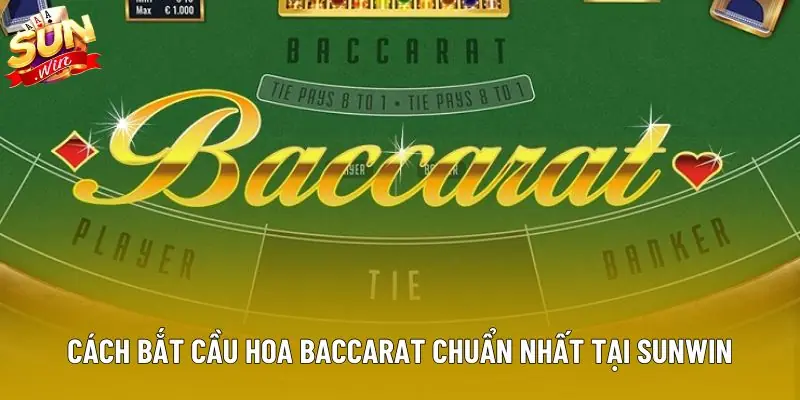 Cách bắt cầu hoa baccarat chuẩn nhất tại Sunwin Cách bắt cầu hoa baccarat chuẩn nhất tại Sunwin