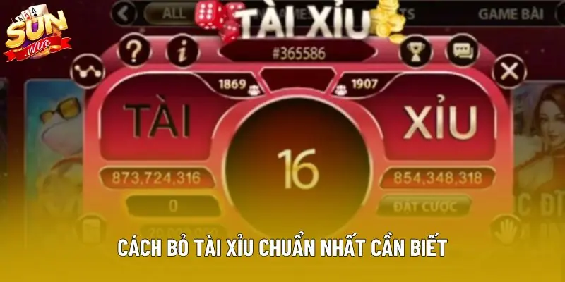 Cách bỏ tài xỉu chuẩn nhất cần biết Cách bỏ tài xỉu chuẩn nhất cần biết