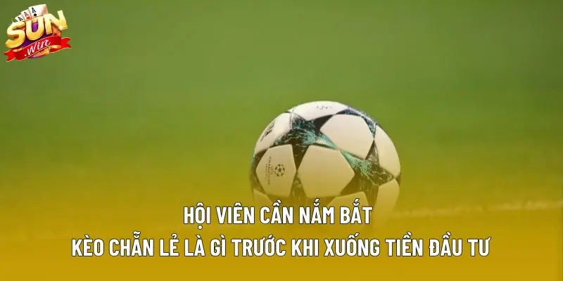 Hội viên cần nắm bắt kèo chẵn lẻ là gì trước khi xuống tiền đầu tư Hội viên cần nắm bắt kèo chẵn lẻ là gì trước khi xuống tiền đầu tư
