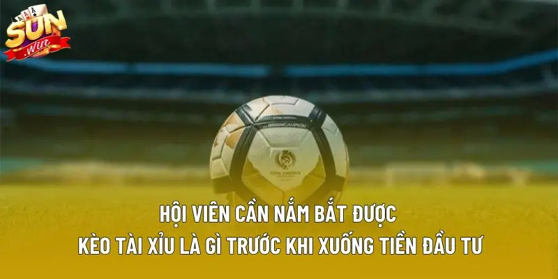 Hội viên cần nắm bắt được kèo tài xỉu là gì trước khi xuống tiền đầu tư Hội viên cần nắm bắt được kèo tài xỉu là gì trước khi xuống tiền đầu tư